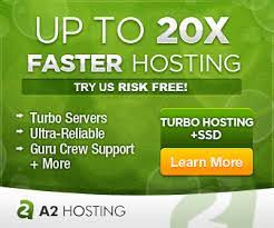 Web Hosting